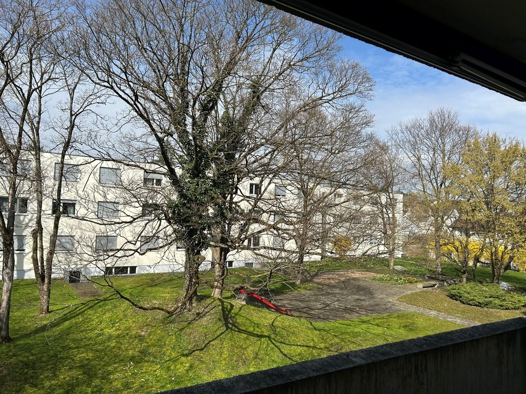 4 ½ rooms apartment (6)
