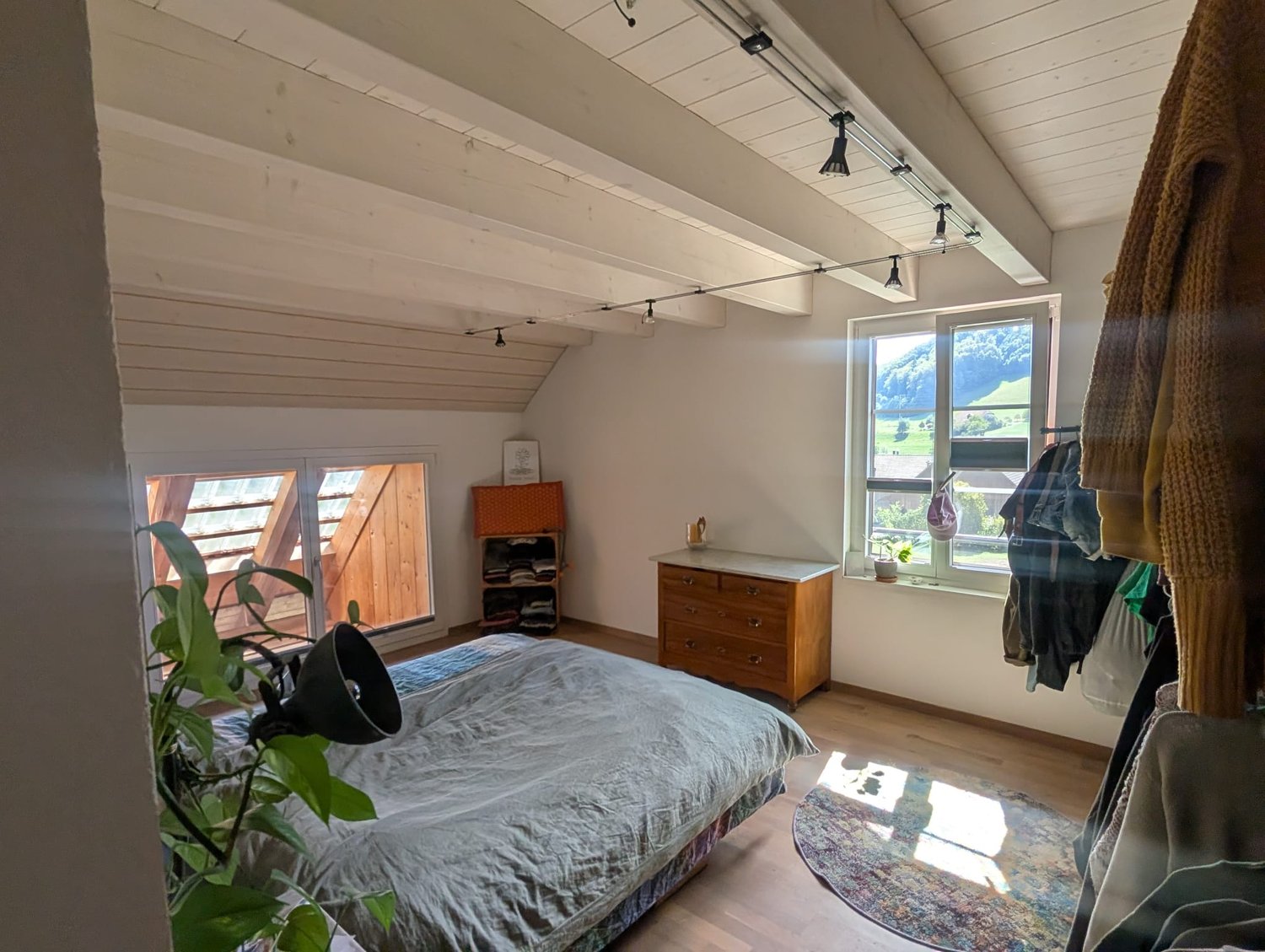 Room in a shared flat