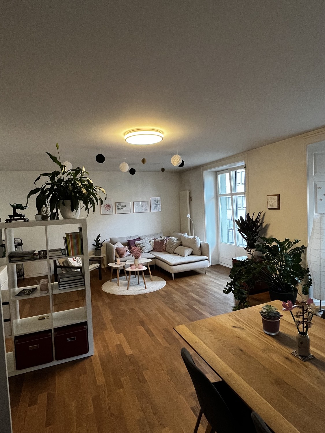 Room in a shared flat