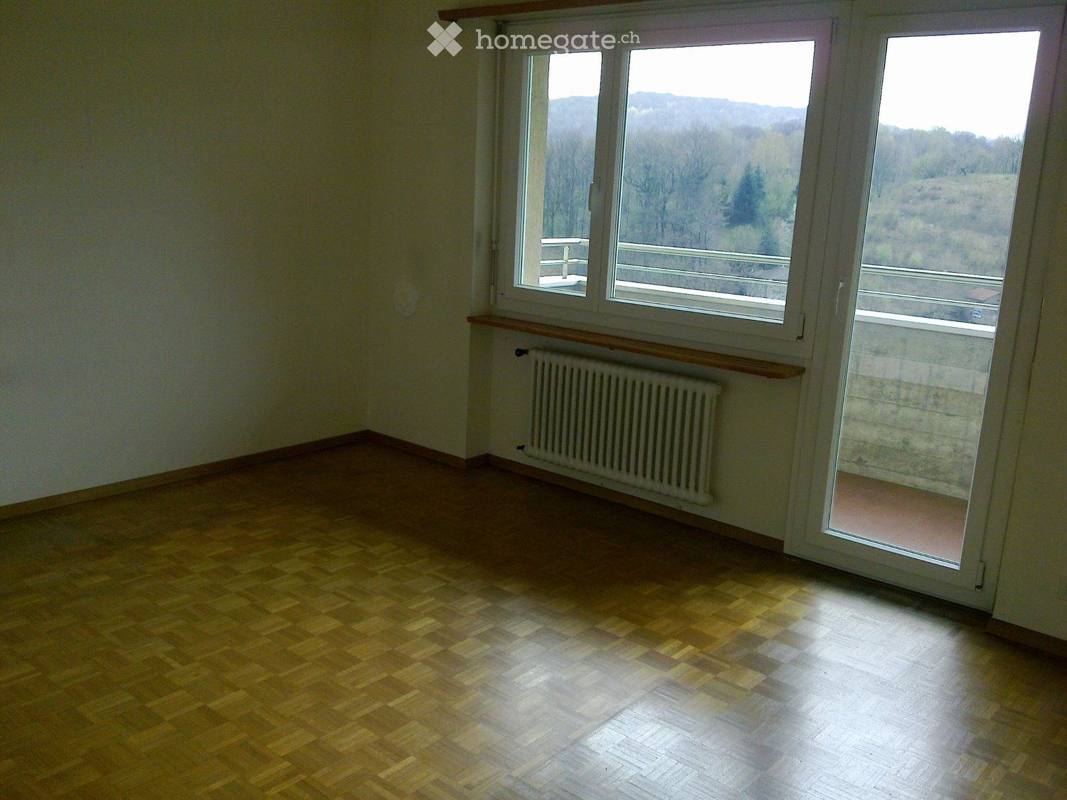 2 ½ Zimmer Wohnung