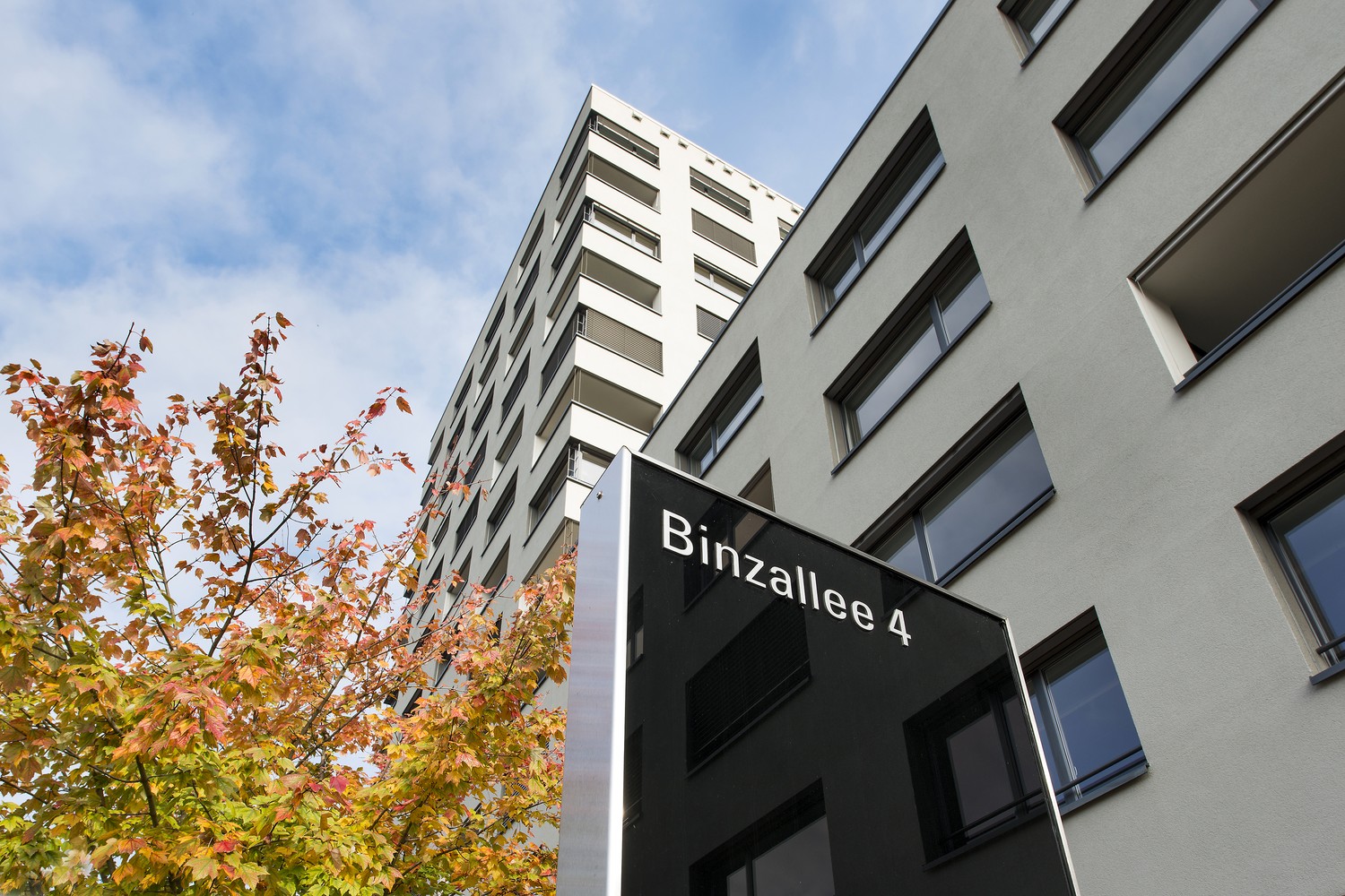 383m² office, Foto 2 von 10