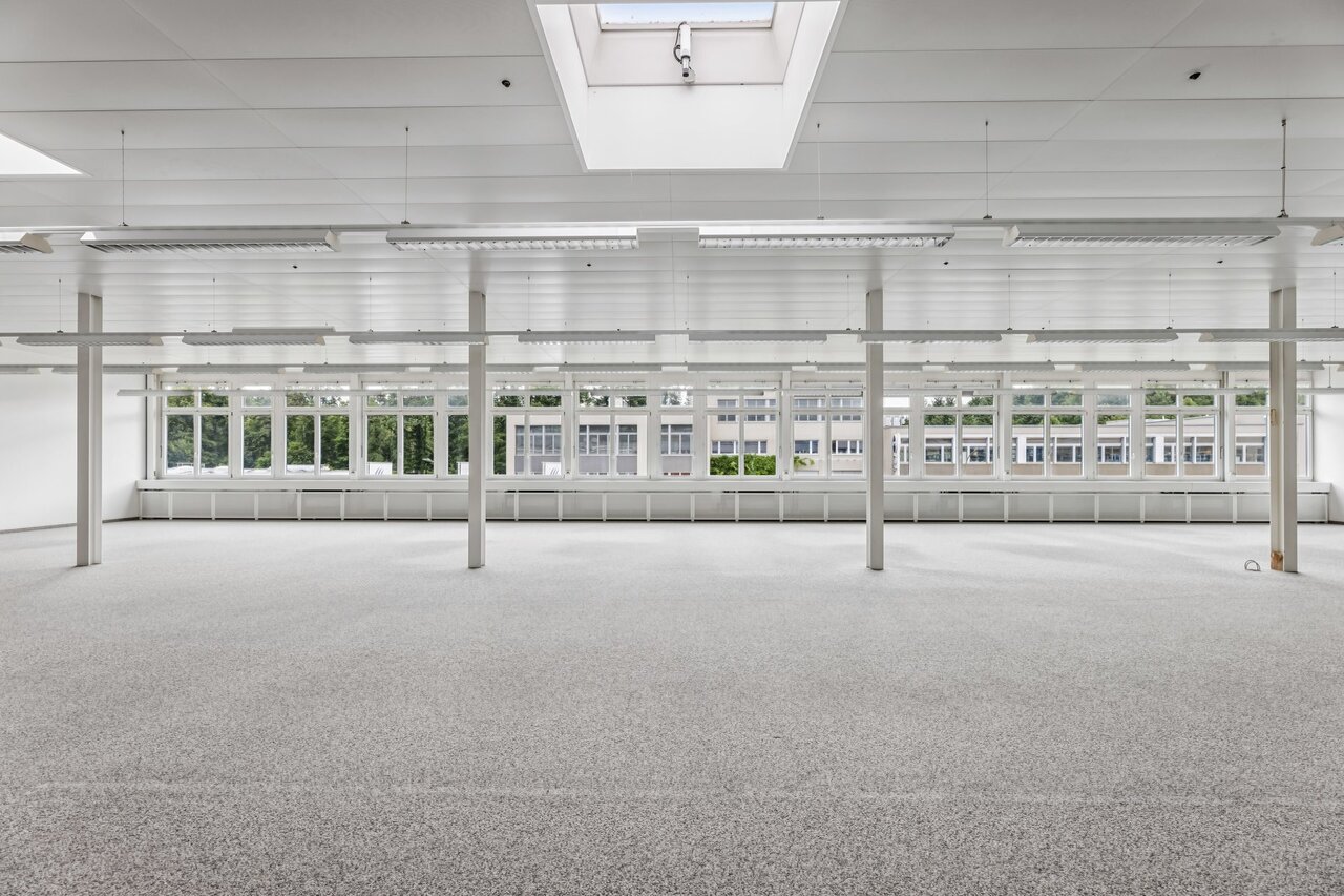 331m² commerciale