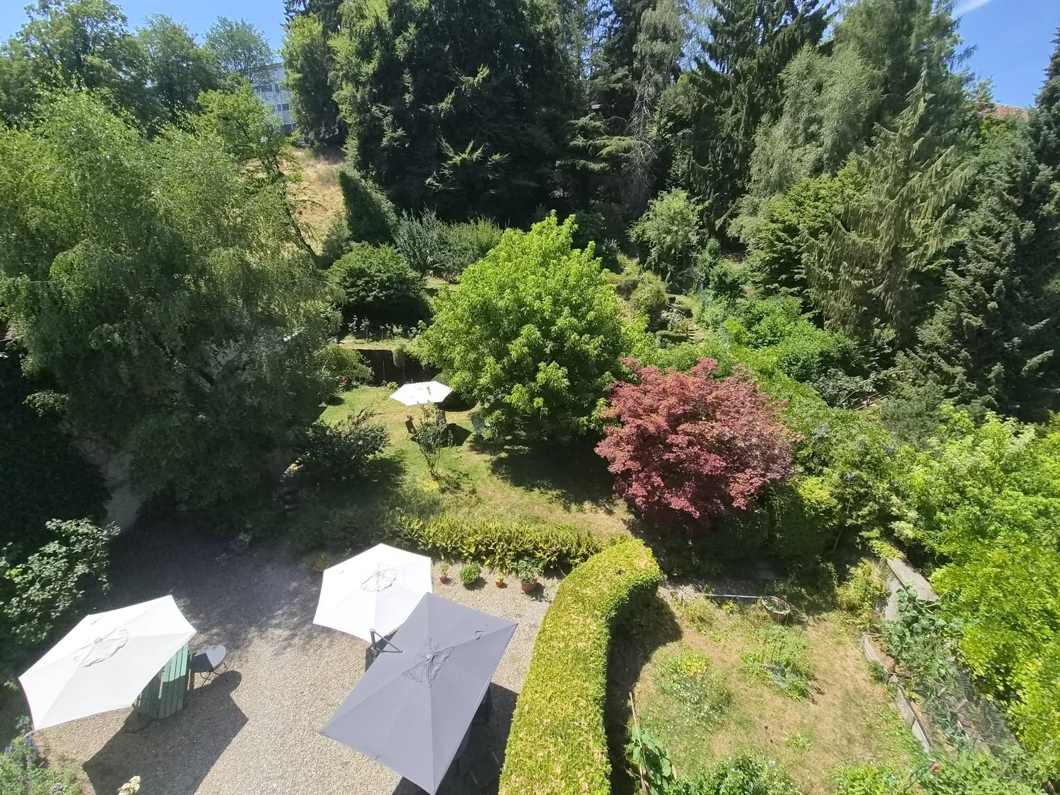 2 ½-Zimmer-Wohnung, Foto 4 von 5