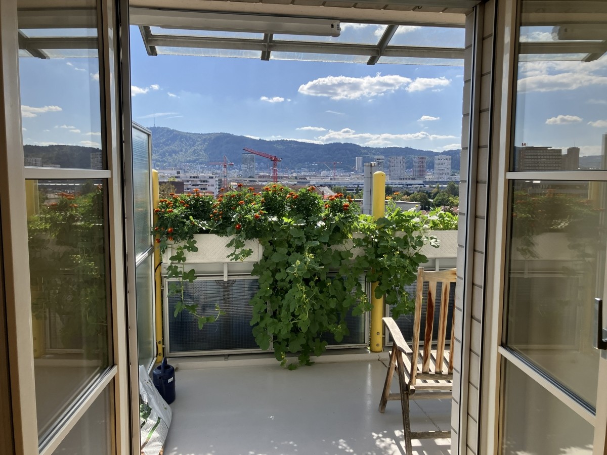2-Zimmer-Wohnung, Foto 3 von 10