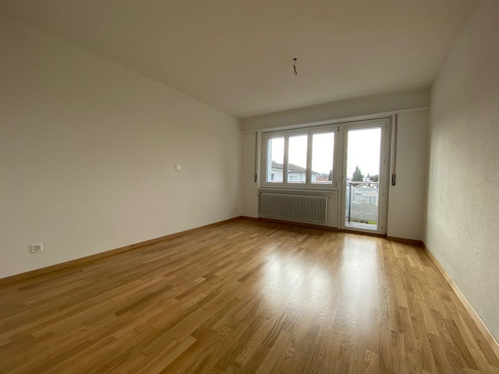 4 ½ rooms apartment (5)