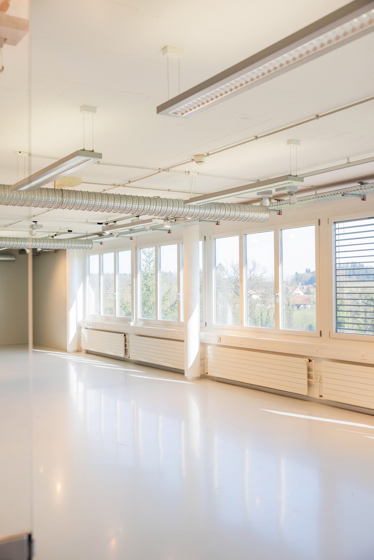 65m² office