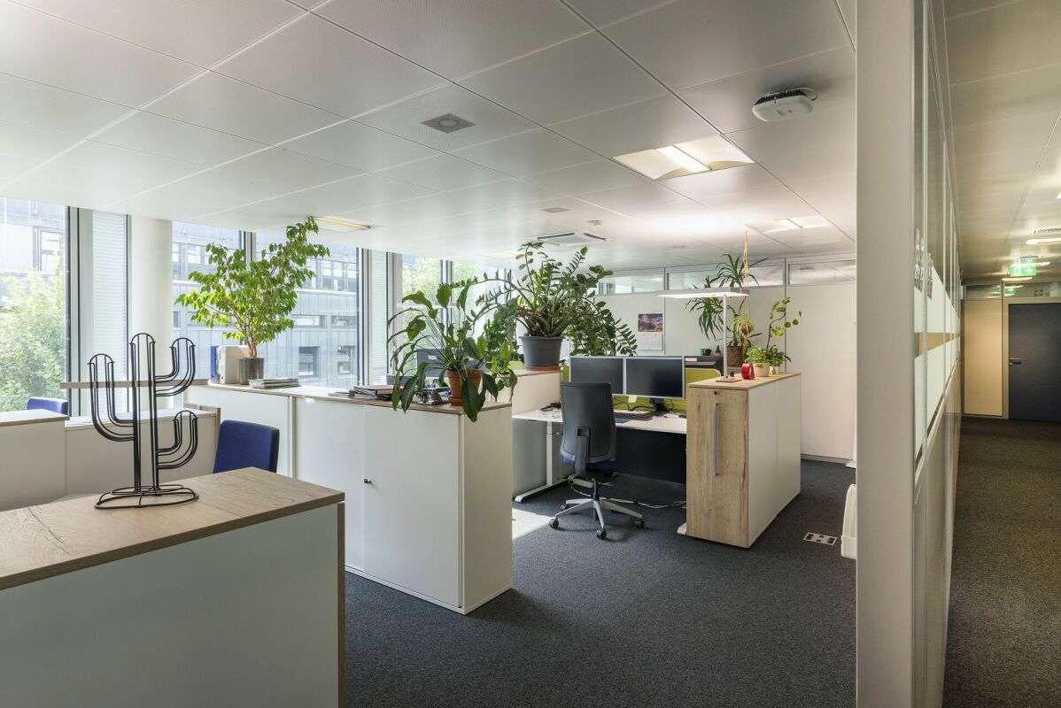 565m² office, Foto 5 von 8