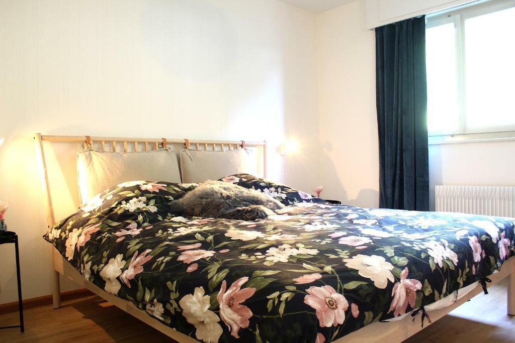 3-Zimmer-Wohnung