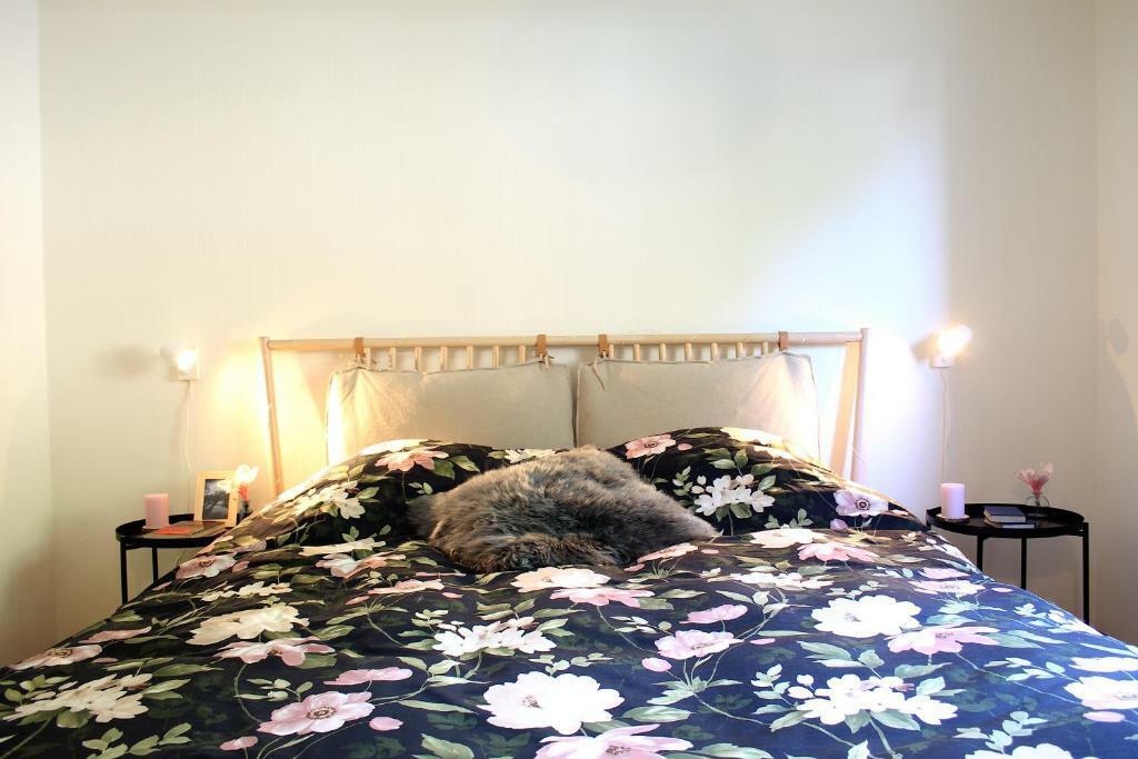 3-Zimmer-Wohnung