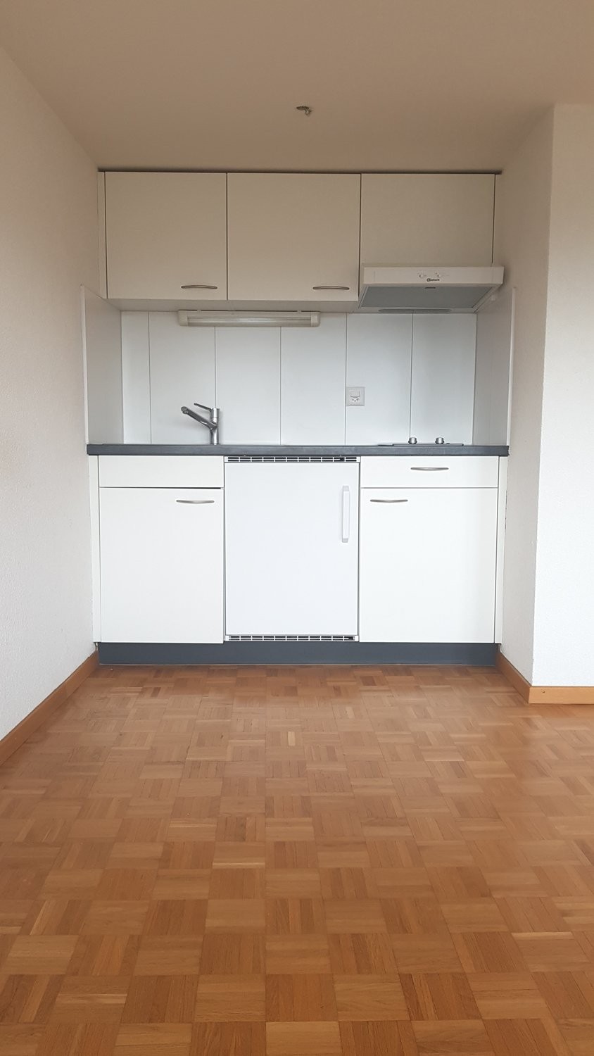 1 ½ Zimmer Wohnung