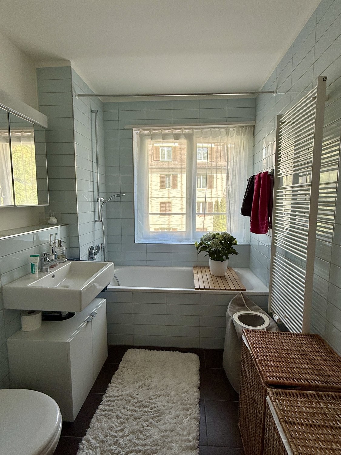 2 ½ rooms furnished flat