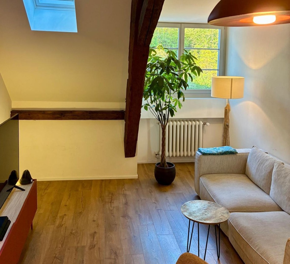 Möblierte 1 ½ Zimmer Wohnung