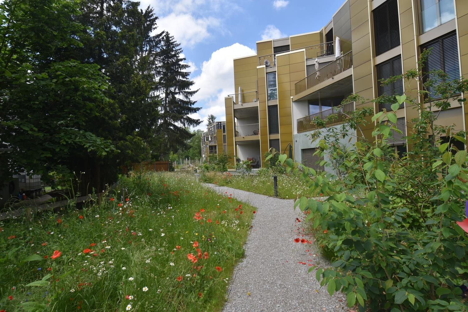 Appartamento attico di 3 ½ locali