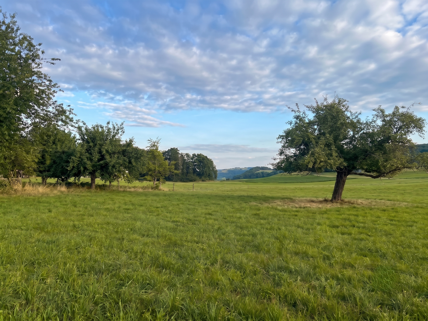 Appartamento di 4 ½ locali