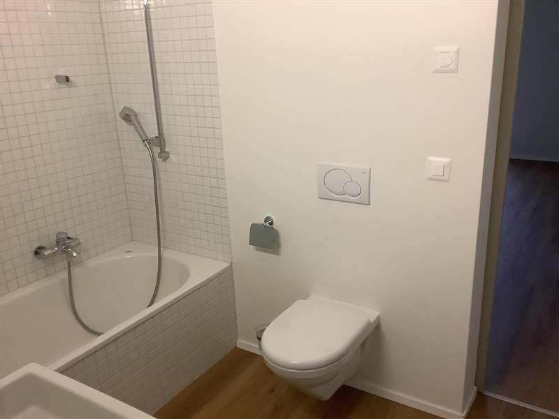 Appartement de 2 ½ pièces, photo 5 sur 6