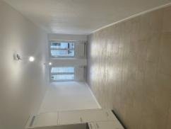 1 ½ Zimmer-Wohnung