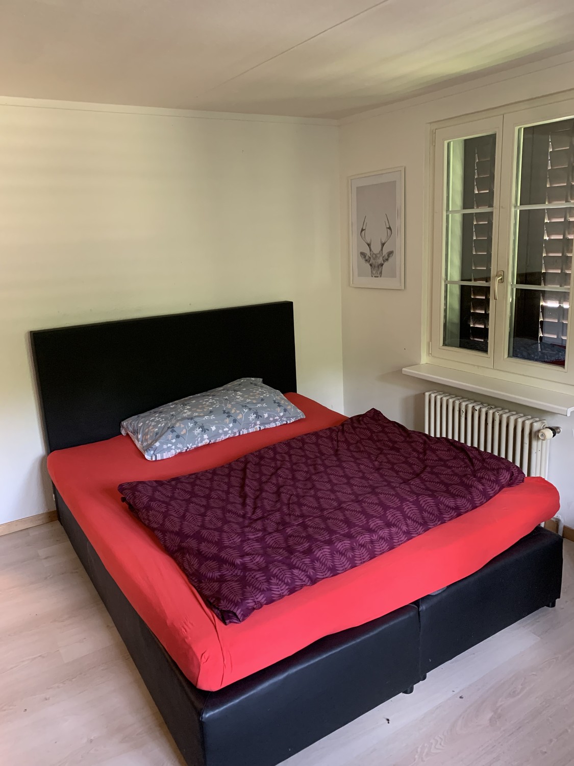 Room in a shared flat