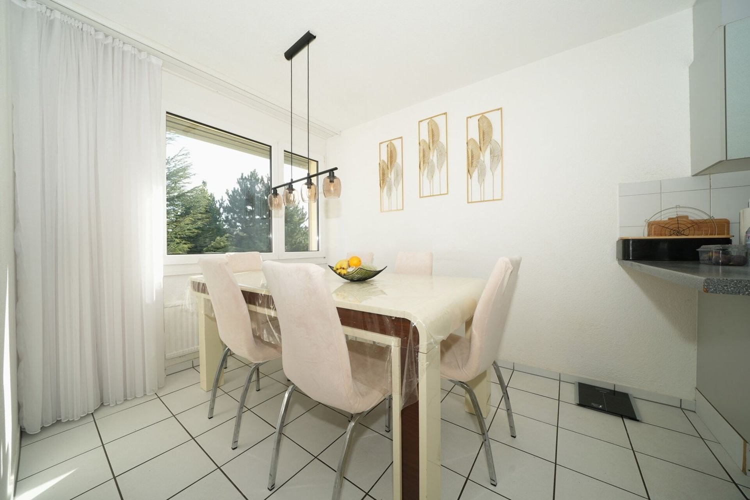 4 ½ rooms apartment