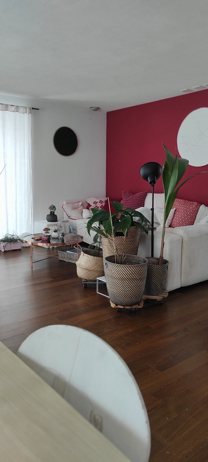 Chambre dans une colocation