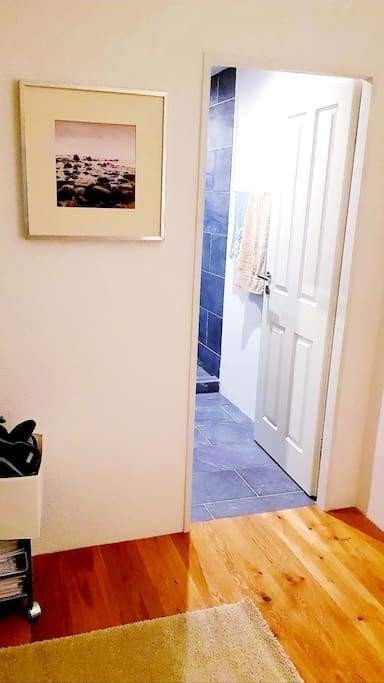 Appartement meublé de 1 ½ pièce