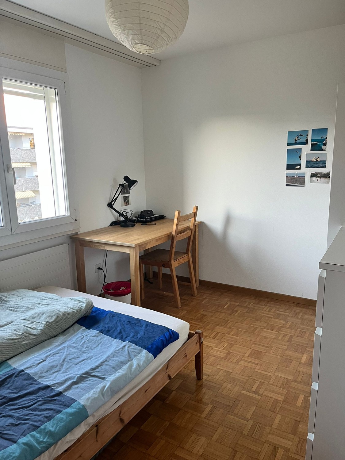 Zimmer in einer WG, Foto 3 von 8