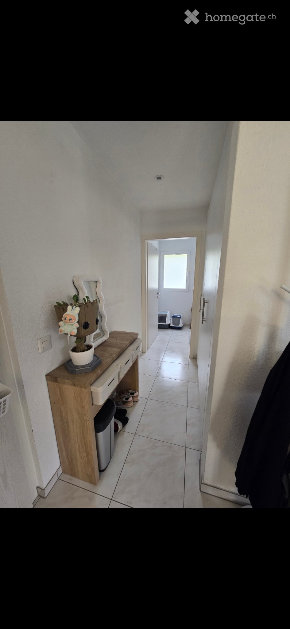 1 ½ Zimmer-Appartement