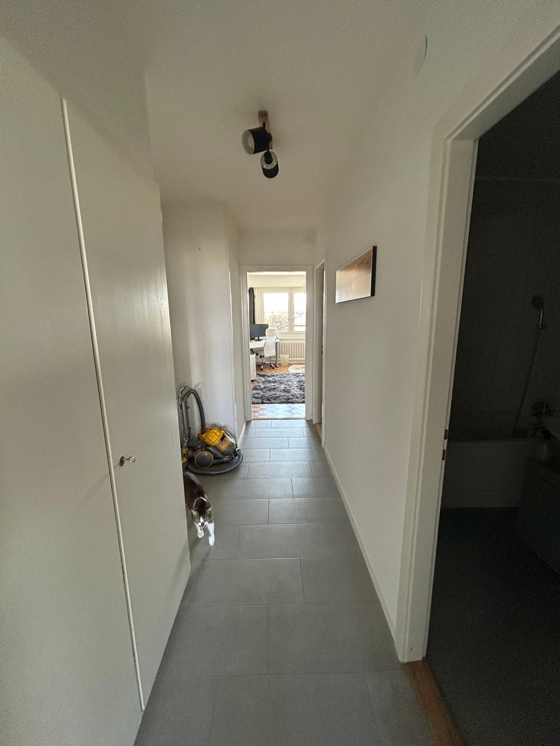 Appartamento di 3 ½ locali