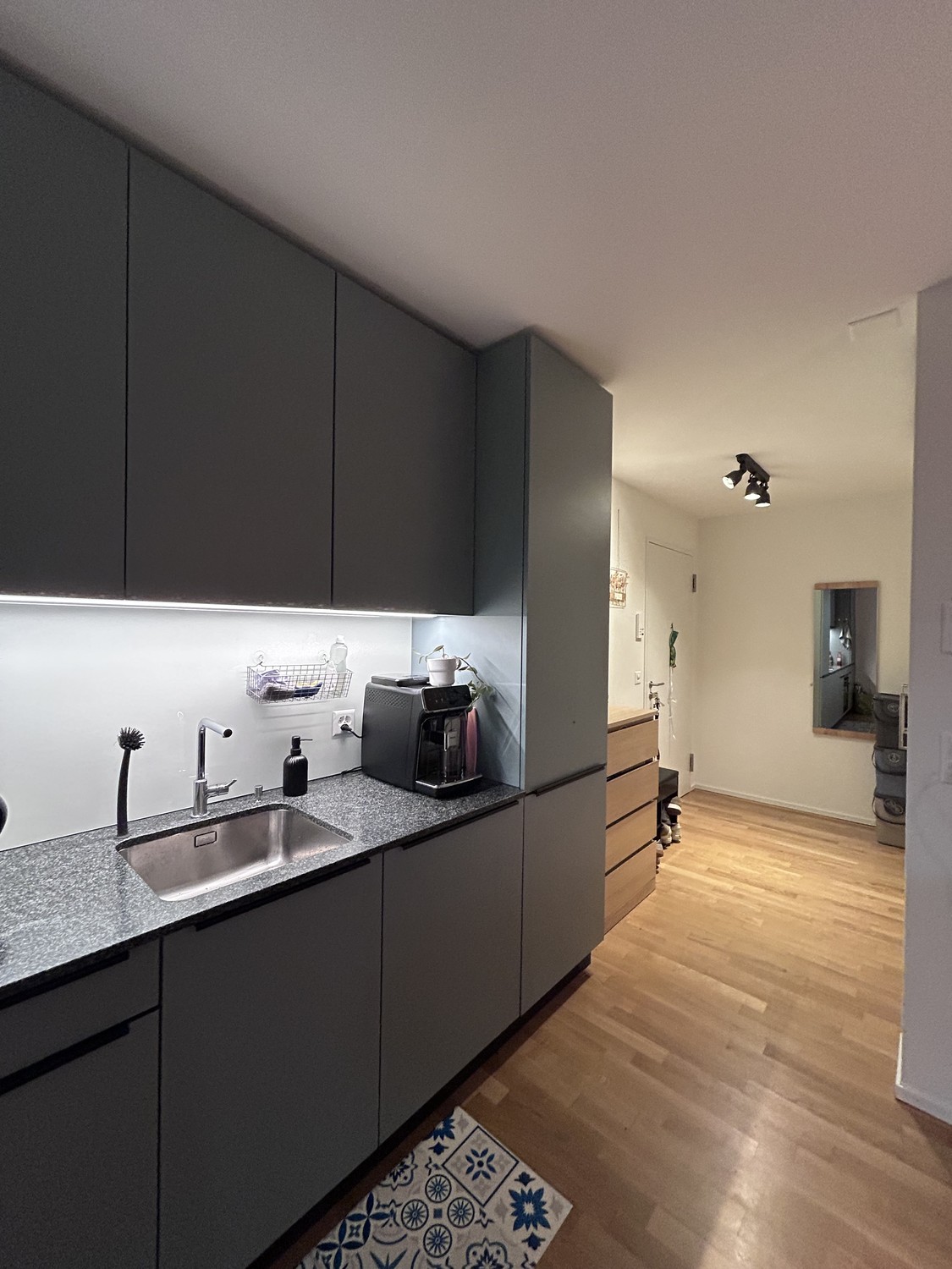 2 ½ rooms apartment