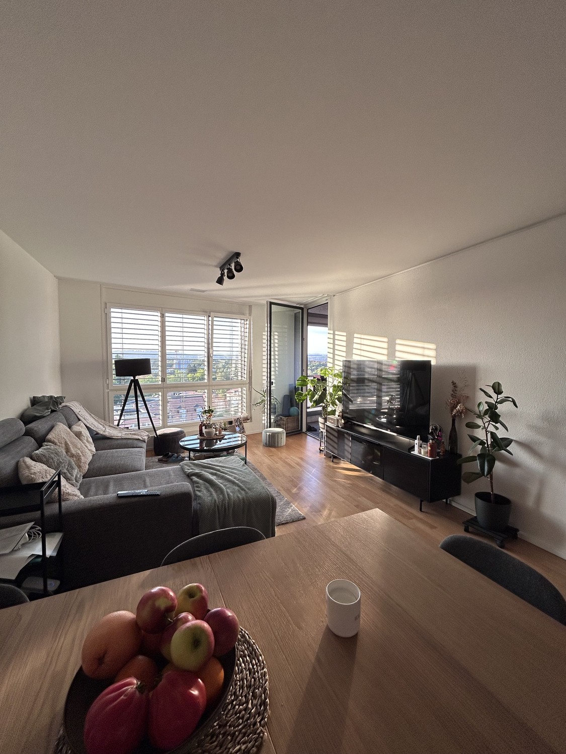 2 ½ rooms apartment