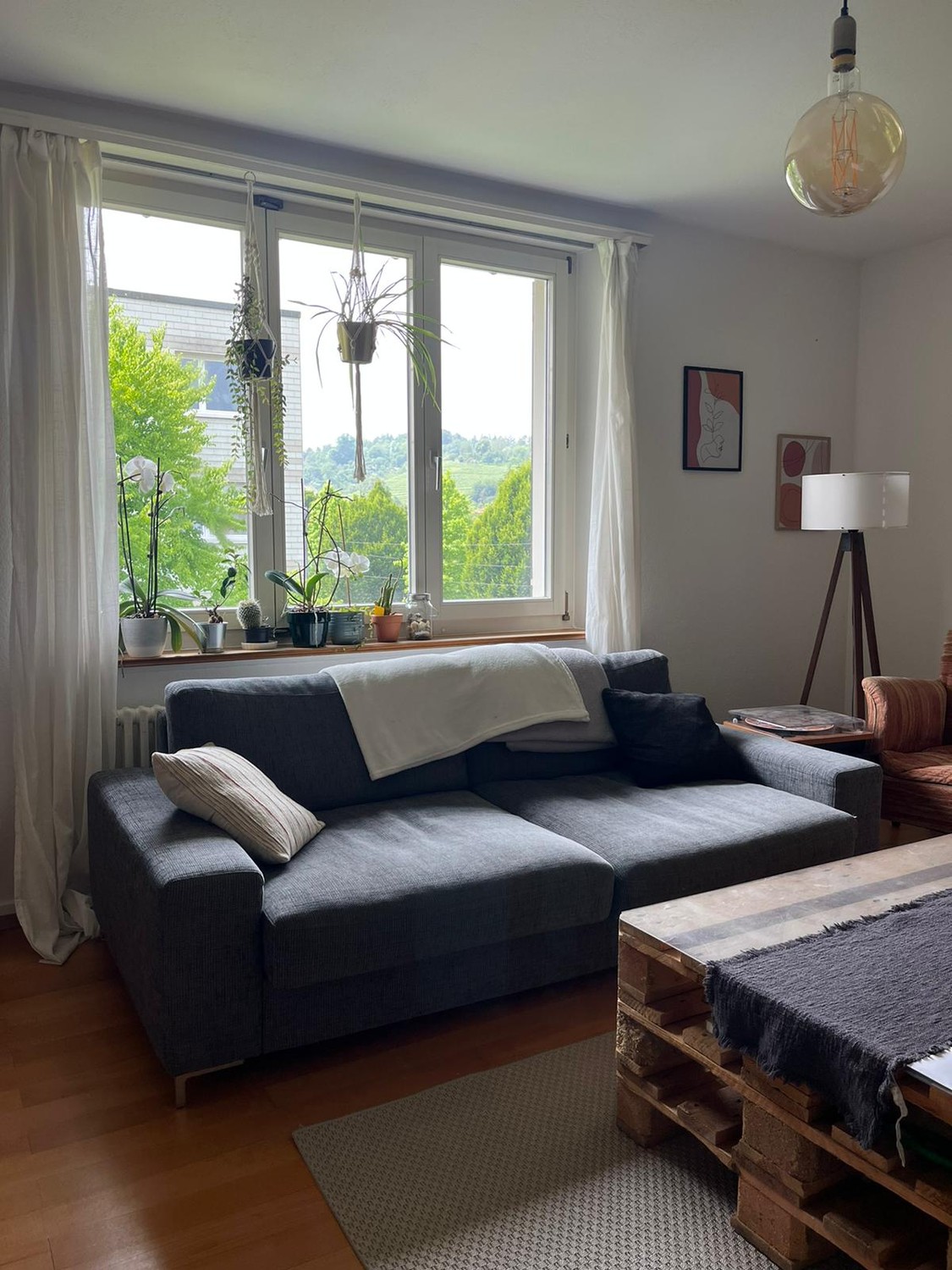Zimmer in einer WG, Foto 2 von 3