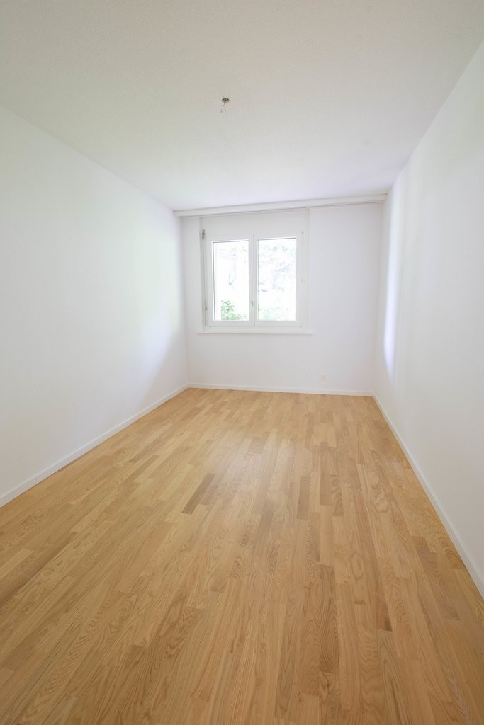 3 ½ rooms apartment (6)