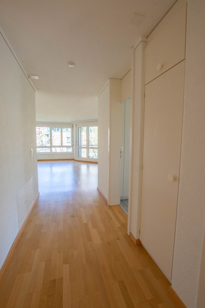 3 ½ rooms apartment (4)
