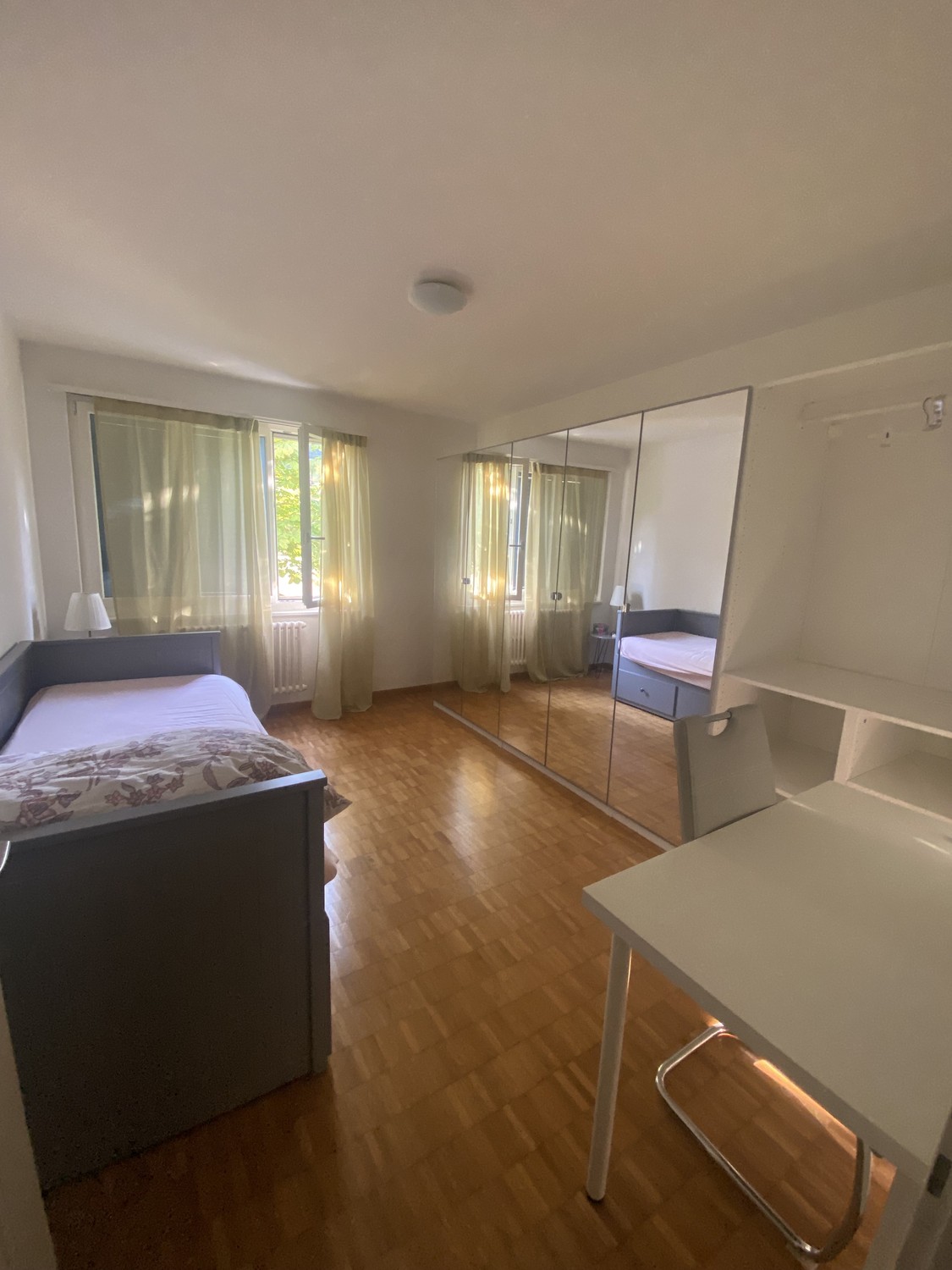 Room in a shared flat