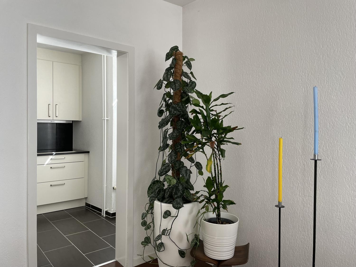 2 ½ Zimmer Wohnung, Foto 5 von 8