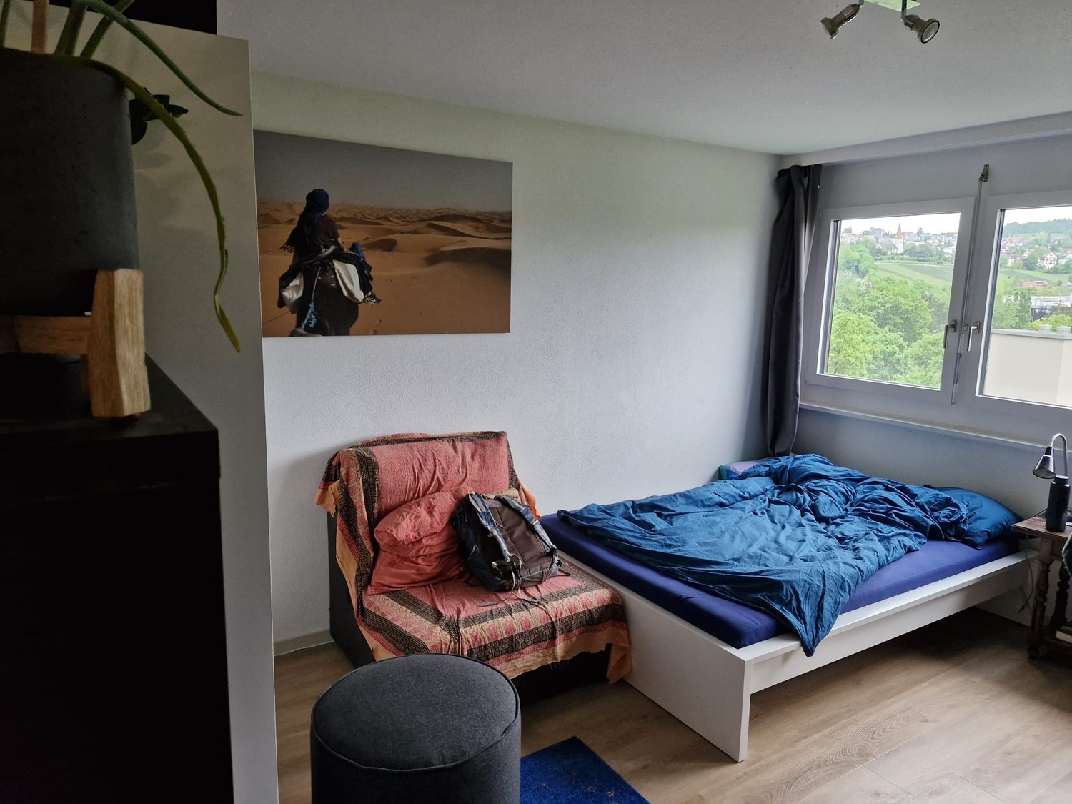 Room in a shared flat