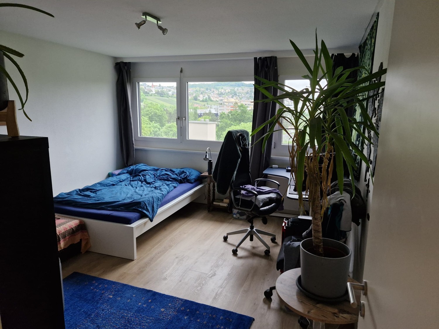 Room in a shared flat