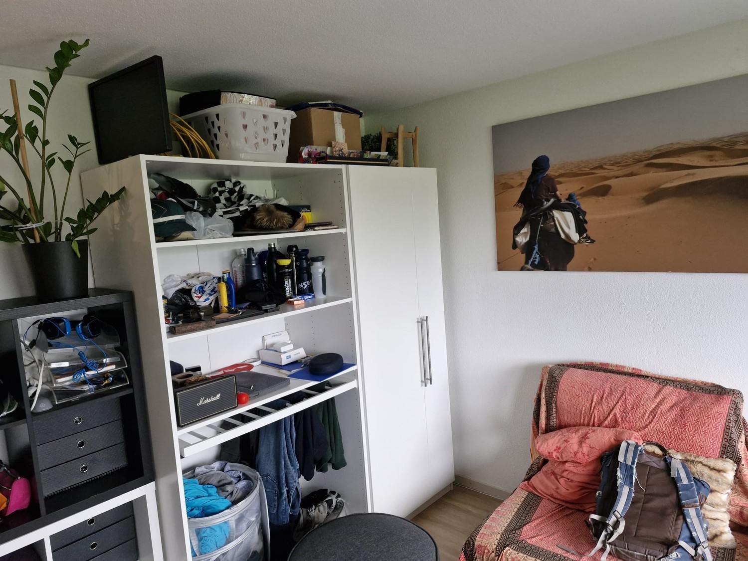 Room in a shared flat
