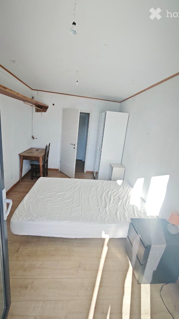 2 Zimmer Einzelzimmer