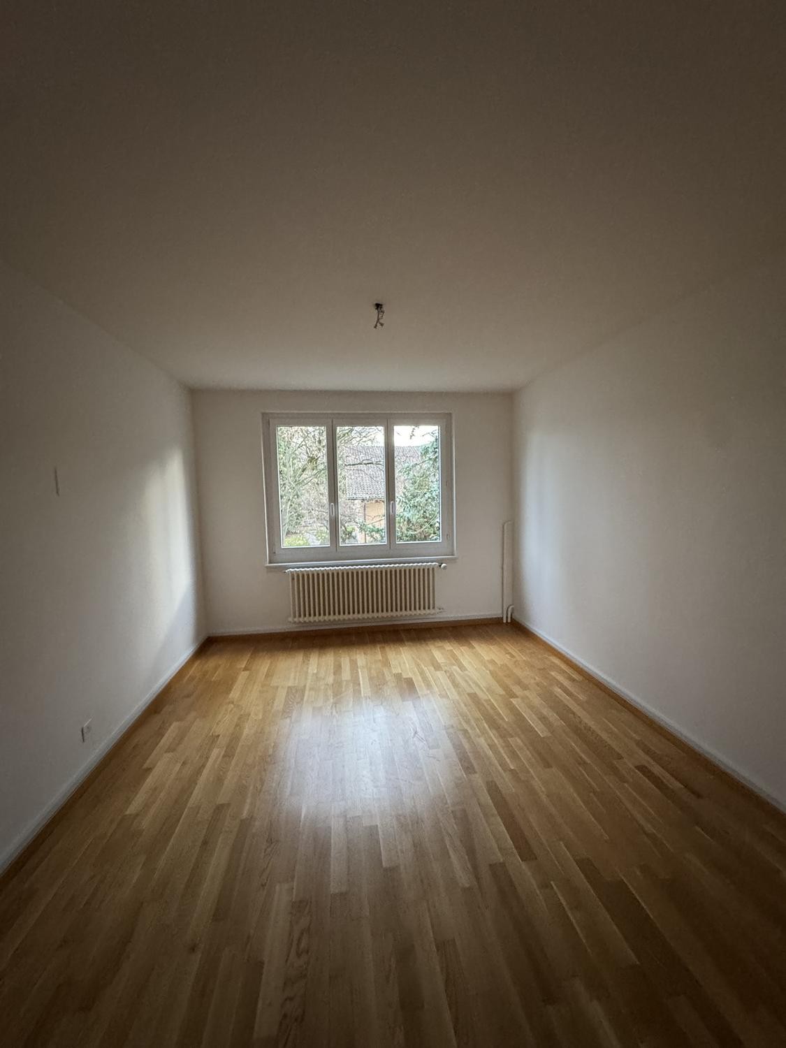 2 rooms apartment, Foto 6 von 8