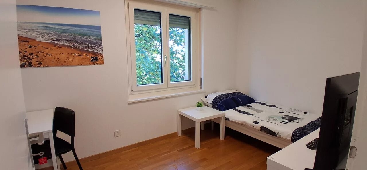 Room in a shared flat