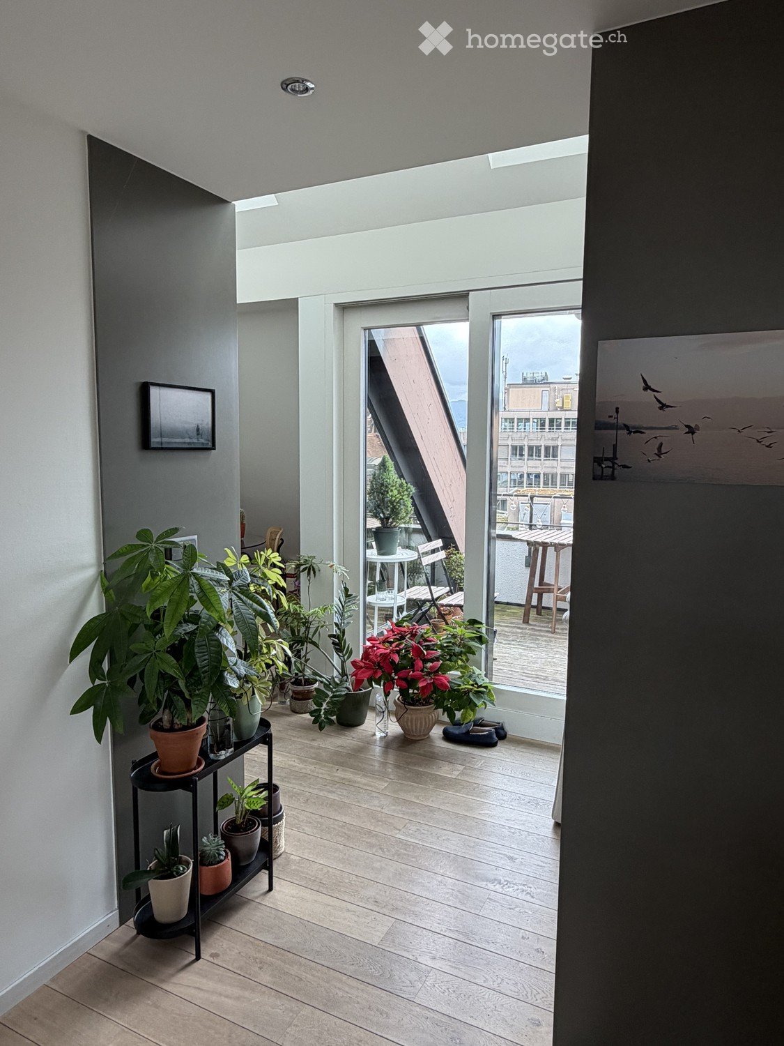 2 ½ Zimmer Wohnung, Foto 3 von 5
