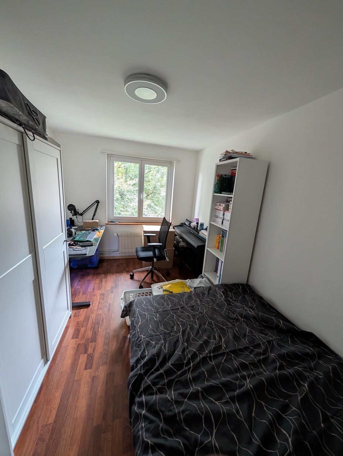 Room in a shared flat