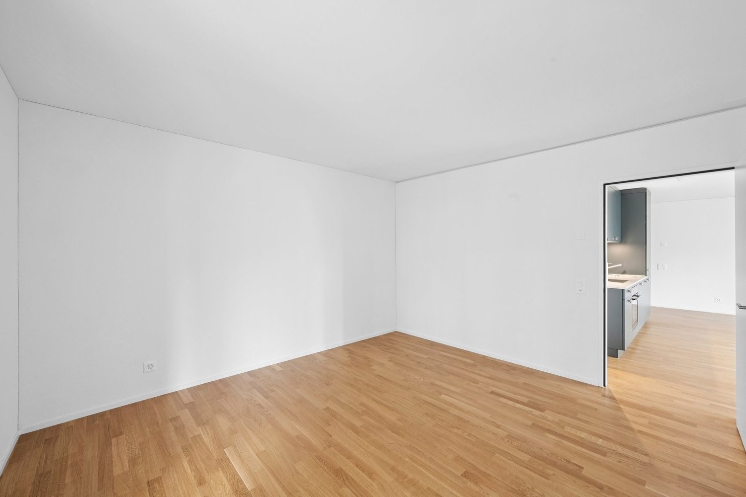 4 ½ rooms apartment