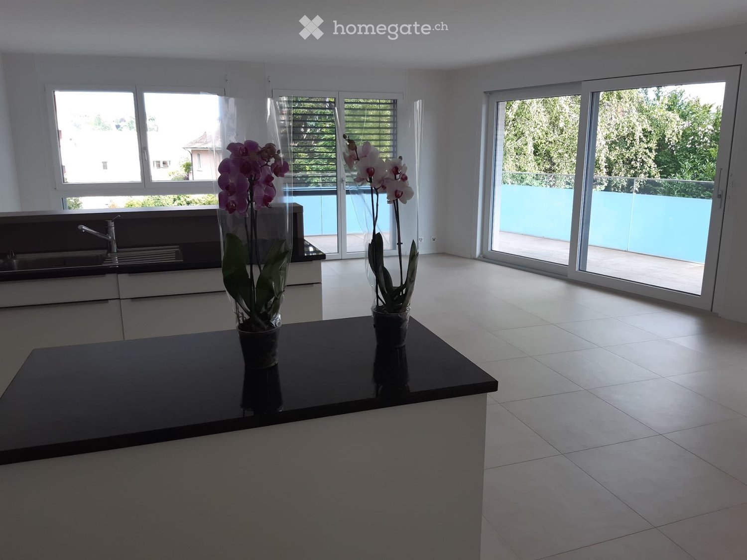 3 ½ Zimmer Wohnung