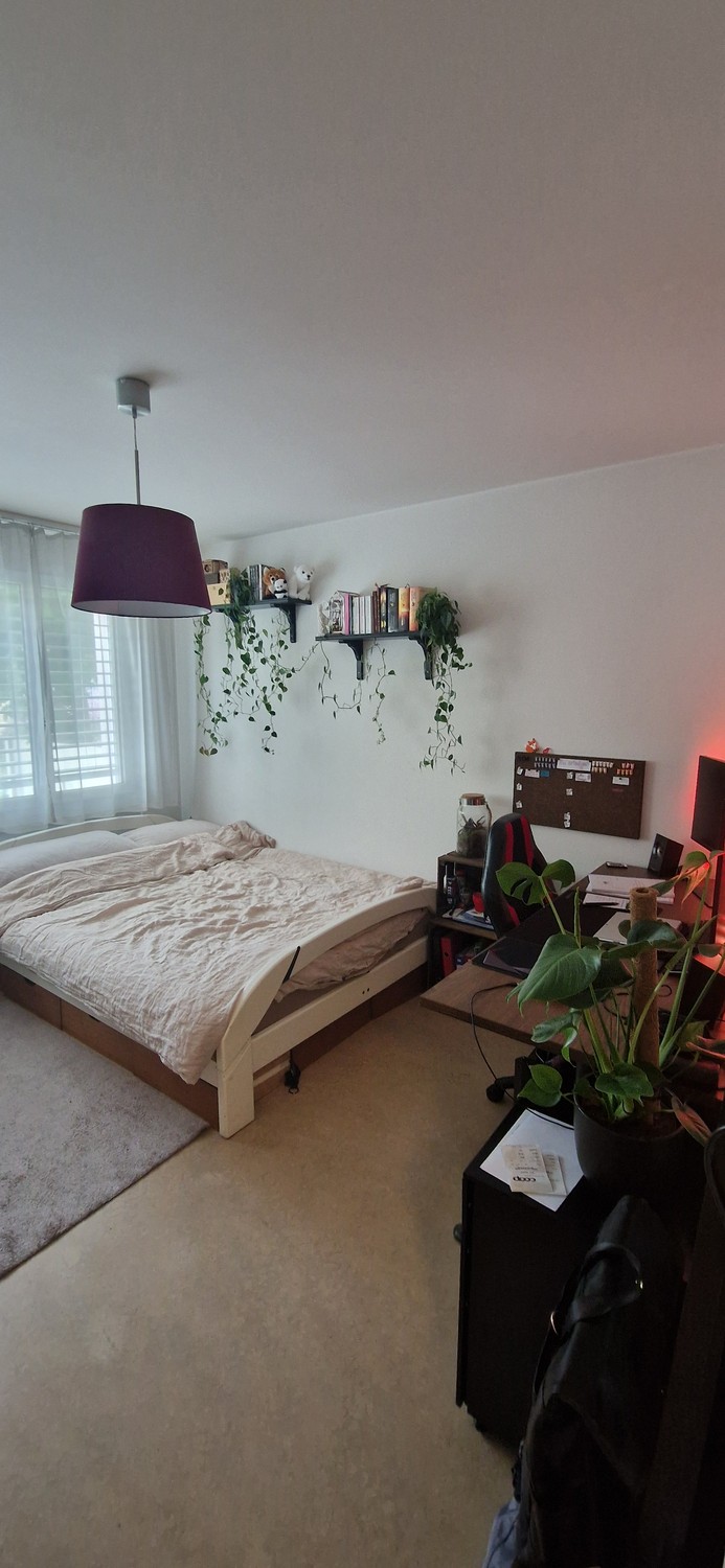 3 rooms apartment (8)