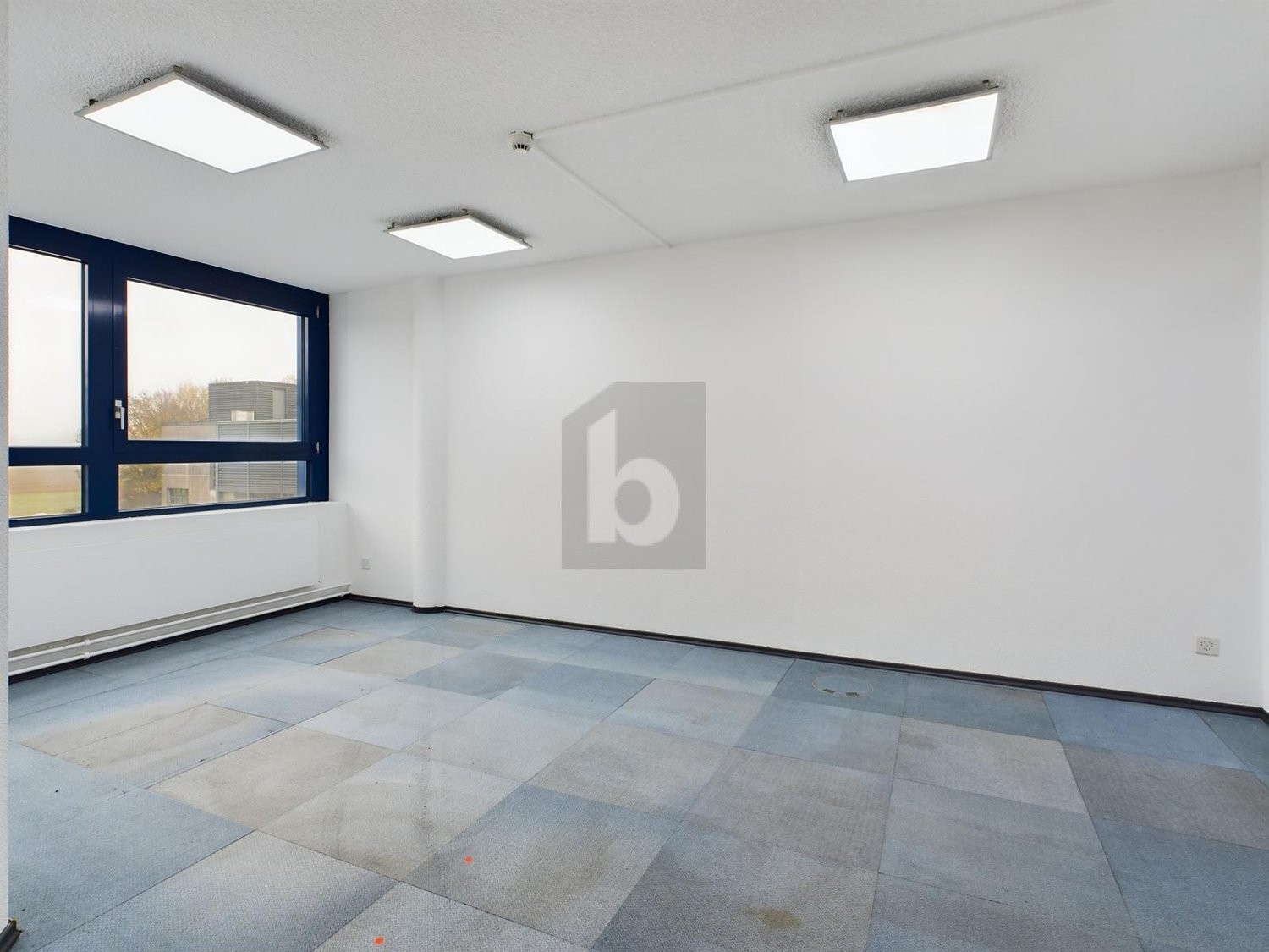 800m² shop