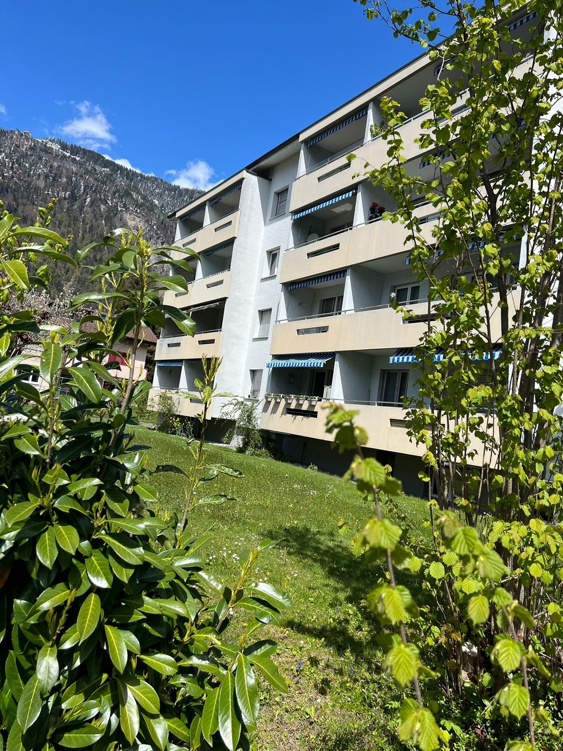 2 ½ rooms apartment, Foto 6 von 10