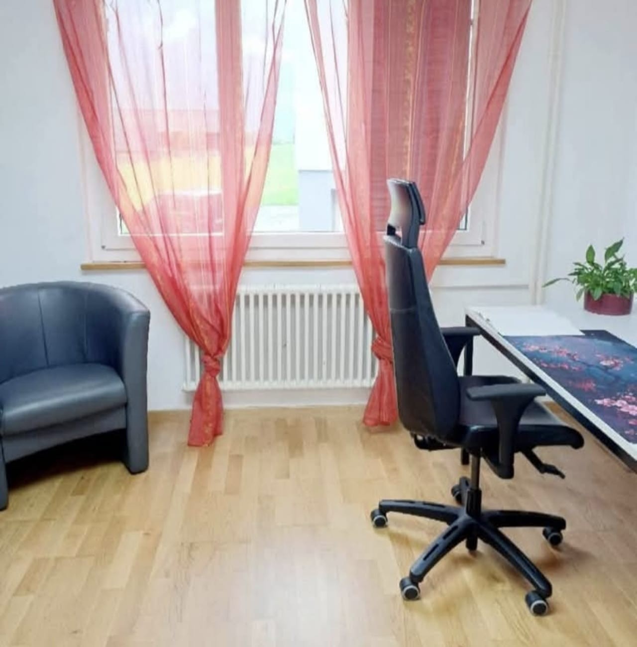 3 ½ rooms apartment, photo 8 sur 8