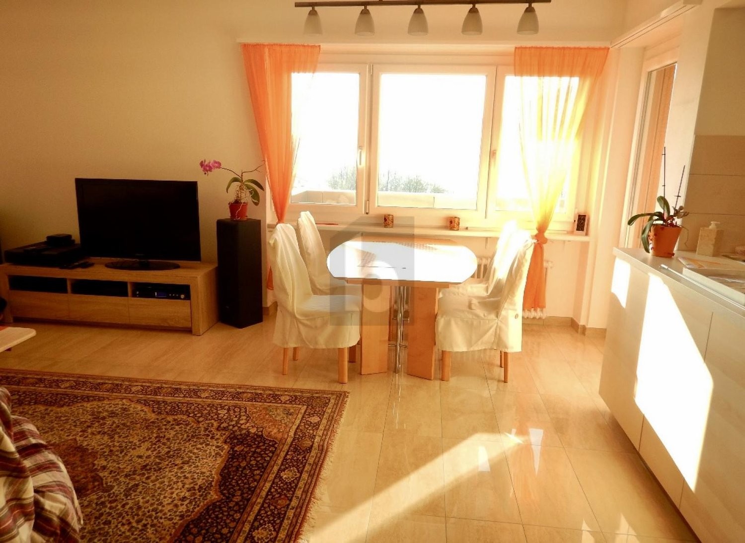 4 ½ rooms apartment
