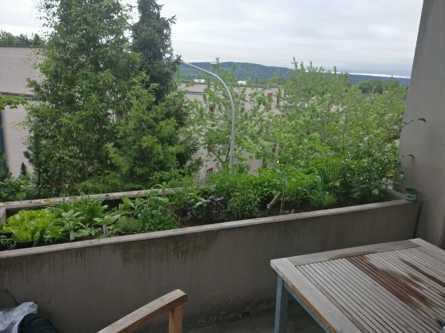 Zimmer in einer WG, Foto 8 von 9